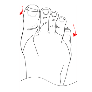 Move toe loops down or up the toe, to adjust foot pads